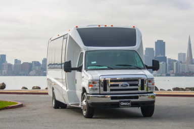 Limo Party Bus Rental