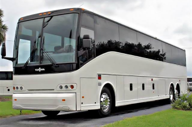 Small Party Bus Rental
